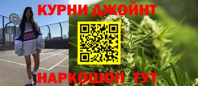сатива Камышлов