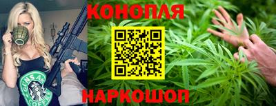 сатива Камышлов