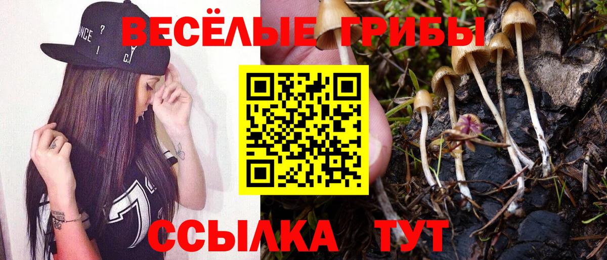 Галлюциногенные грибы Magic Shrooms Владикавказ
