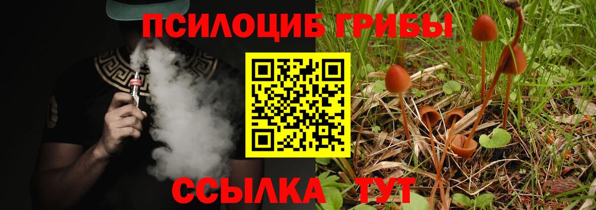 Владикавказ  Галлюциногенные грибы мицелий  Вход с VPN 